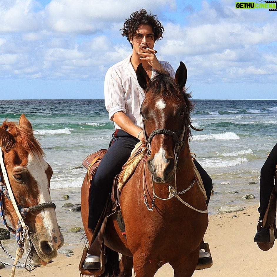 Avan Jogia Instagram - In case you’ve been wondering what I’ve been up to…