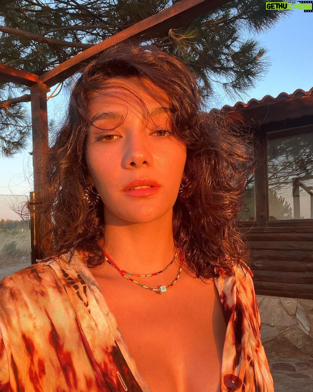 Aybüke Pusat - 140.1K Likes - #goldenhour diye ben… 🍯🐝