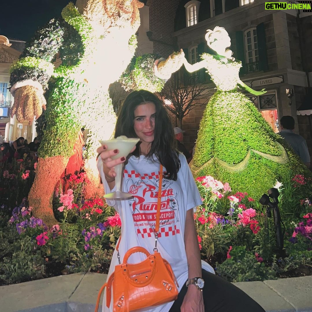 Bárbara de Regil Instagram - ❤️🩹🎢✨ Walt Disney World