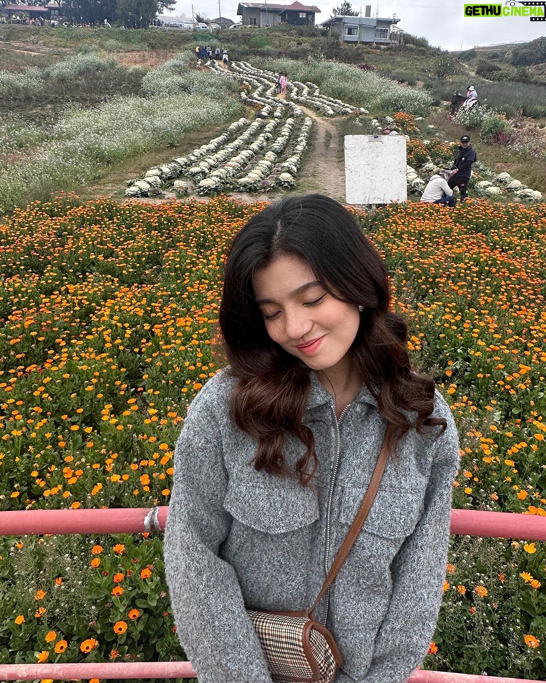 Belle Mariano - 364.6K Likes - Snaps from Benguet🤍📸