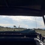 Berta Vázquez Instagram - ❤️ 🦒 Maasai Mara