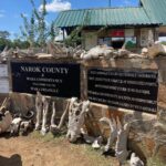 Berta Vázquez Instagram - ❤️ 🦒 Maasai Mara
