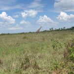 Berta Vázquez Instagram - ❤️ 🦒 Maasai Mara