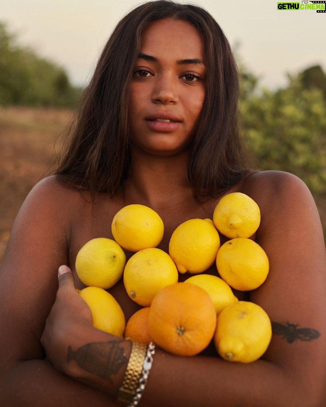 Berta Vázquez - 56.1K Likes - You have to keep breaking your heart until it opens.
Rumi
Shot by @nickfalke