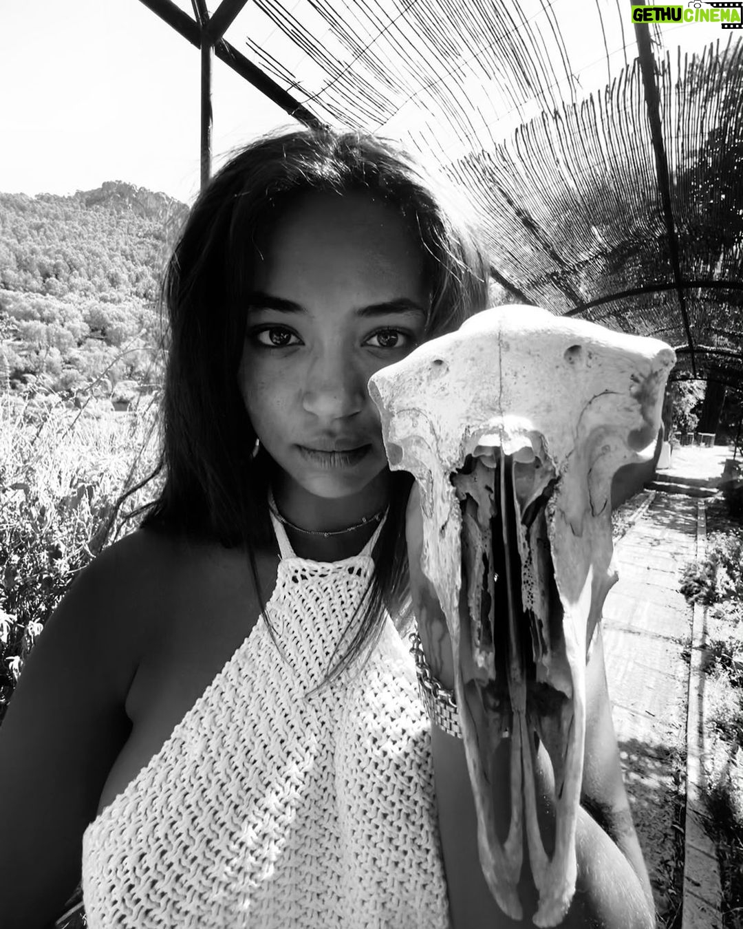 Berta Vázquez Instagram - “A creative person has little power over his own life. He is not free. He is captive and driven by his daimon.” (Carl Jung)