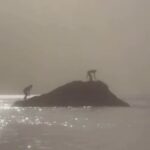 Berta Vázquez Instagram - 1 year and 10 months ago I took this video. My favorite island. My second home. Today I connected the song that belongs to this imagery. And, as I watch it, I see how this little events flew in front of me with such synchronicity … makes me feel a whisper of something greater. Beauty and order on time. Not as this song, which comes a bit late.. but never too late.