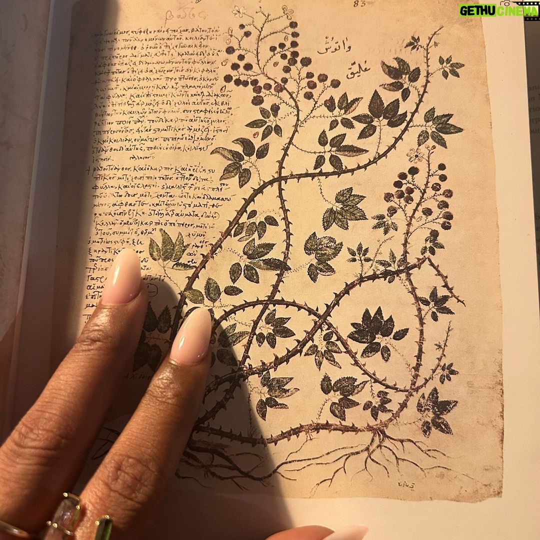 Berta Vázquez Instagram - ☠️👾☠️ a joyful connection between life and arts