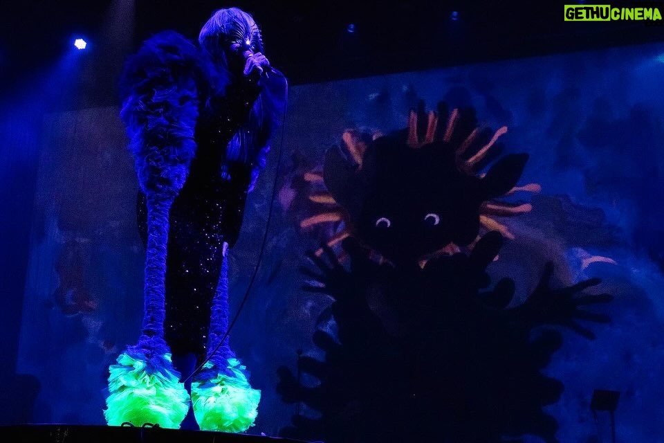 Björk Instagram - thanks for tonight zürich! musicians : @viibraflutes @bergurth @manudelagomusic @katiebuckleyharpist bjork dress @kevingermanier silver dress @coperni white bodysuit @hectos headpieces @james.t.merry musicians outfits @balmain hair @olivierschawalder @johnvialhair musicians hair @tomikono_wig makeup @isshehungry styling @eddagud photos @santiagraphy Zürich, Switzerland