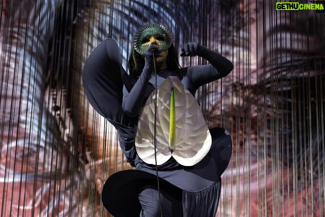 Björk Instagram - thank you paris for a spectacular evening ! musicians : @viibraflutes @bergurth @manudelagomusic @katiebuckleyharpist bjork dress @jisoobaikparis anthurium flower @loewe headpieces @james.t.merry shoes @maisonmargiela encore outfit @irisvanherpen musicians outfits @balmain hair pieces @tomikono_wig makeup @isshehungry styling @eddagud photos @santiagraphy