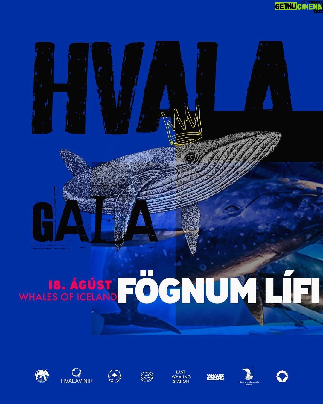 Björk Instagram - “Please join us on Friday, 18th of August at The Whales of Iceland Museum @whalesoficeland Let's declare our love for whales, and urge the Icelandic government not to allow whaling in September, and to ban the hunt for good!” @hvalavinir @last_whaling_station Reykjavík, Iceland