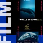 Björk Instagram - “Please join us on Friday, 18th of August at The Whales of Iceland Museum @whalesoficeland Let's declare our love for whales, and urge the Icelandic government not to allow whaling in September, and to ban the hunt for good!” @hvalavinir @last_whaling_station Reykjavík, Iceland