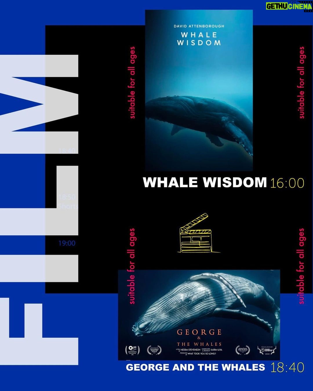 Björk Instagram - “Please join us on Friday, 18th of August at The Whales of Iceland Museum @whalesoficeland Let's declare our love for whales, and urge the Icelandic government not to allow whaling in September, and to ban the hunt for good!” @hvalavinir @last_whaling_station Reykjavík, Iceland