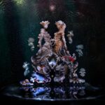 Björk Instagram - i am so happy to announce the release of "oral" a single with @rosalia.vt , tomorrow 21st of november the profits will all go to stop open net pen fish farming in iceland. this is a 25 year old song of mine i wrote and programmed inspired by a dancehall beat (the grandmother of reggaeton) rosalia´s experiments with the genre and her incredible voice made her an obvious guest for the song. i feel blessed she said yes and she and her team are giving their work and all the profits to this battle. i think somehow there is an elegant resonance between the fact that both of our voices are the same age on the recording. i would like to thank @segabodega for co-producing this with me and rosalia. we have a team of people from the biggest environmental groups in iceland with lawyers that will take on other open net pen fish farming cases, I would like to thank them all for all their hard voluntary work. industrial salmon farming in open net pens is horrid for the environment. the farmed salmon goes through immense suffering, and it causes severe harm for our planet. this is an extraordinarily cruel way to make food. the fight against the open net pen industry is a part of the fight for the future of the planet. one of the most severe environmental challenge for the north this century is the acidity of the ocean. in the space of 5 years, norwegian open sea fish farming of companies MOWI and SalMar have already damaged big areas in our fjords , both marine life , animals and plants , which will attribute to that . we can still reverse this. our legal cases on bio-diversity, cruelty to animals and more could become exemplary cases around the world. warmthness björk you can find a pre-save link for oral in bio, as well as a link to support the cause @aegiswatch artwork by @james.t.merry