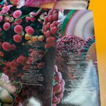 Björk Instagram - the fossora box set designed by @mmparisdotcom available via link in bio Includes: 5 reimagined tracks on 2 x 10” crystal clear vinyl 100% silk oversized scarf 2 x fine art pigment prints atopos score book illustrated booklet music notebook fossora alphabet poster certificate of authenticity