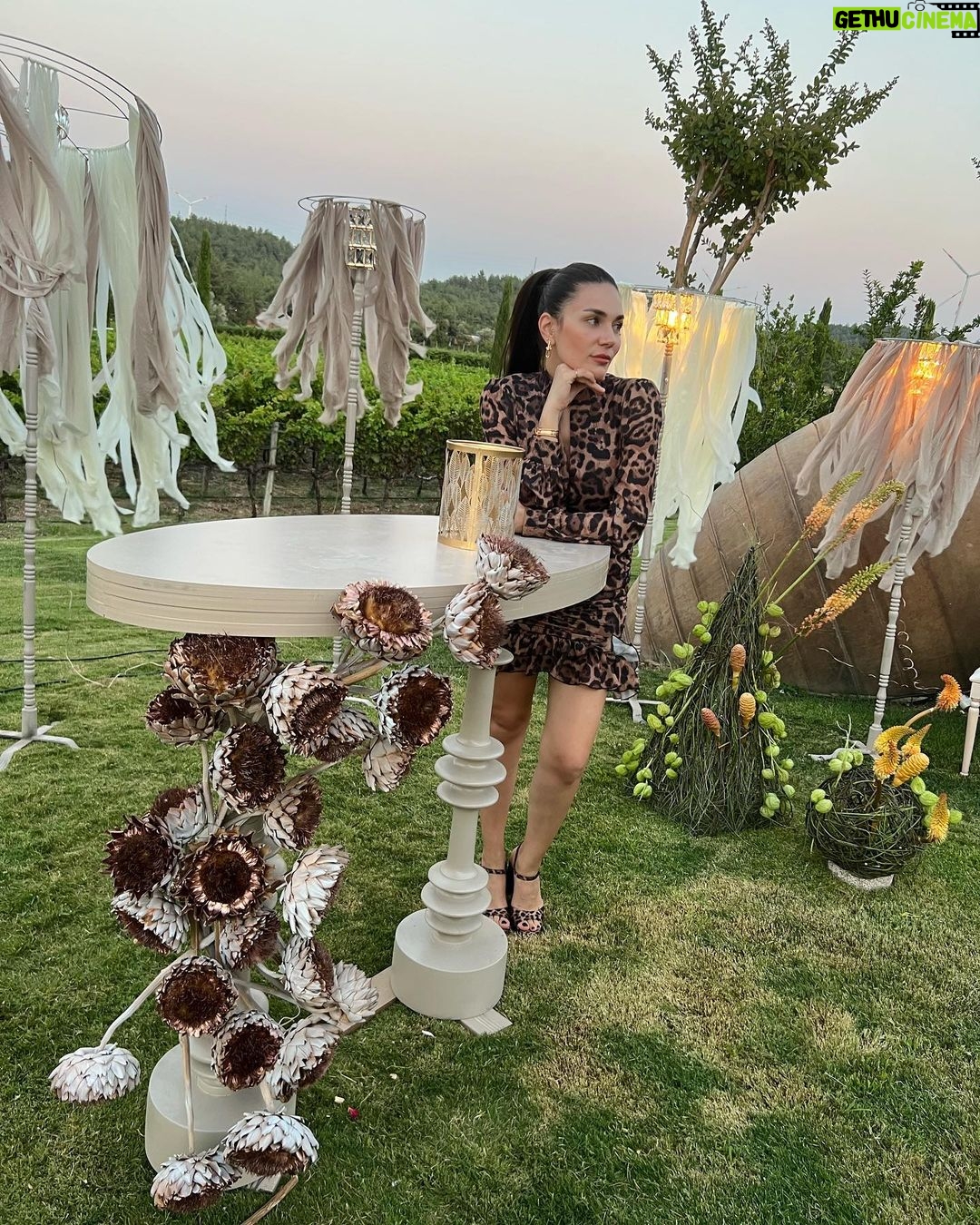 Buse Varol Instagram - Sara&ilhan wedding🤍 Urla Sarapcilik / URLA Winery
