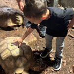 Buse Varol Instagram – Bugünden💓 çok eğlendik oğlumla🤗🧿 Aslan Park