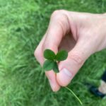 Byeon Woo-seok Instagram - 😶🍀
