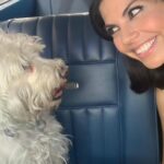 África Zavala Instagram - Esta noche no se pueden perder el especial #naturalbornnarco por @telemundo 10 pm/9C En la foto 6 ya se me ve la pancita 😍Leoncito estaba en camino ❤️