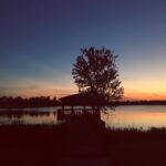 Chandler Riggs Instagram -