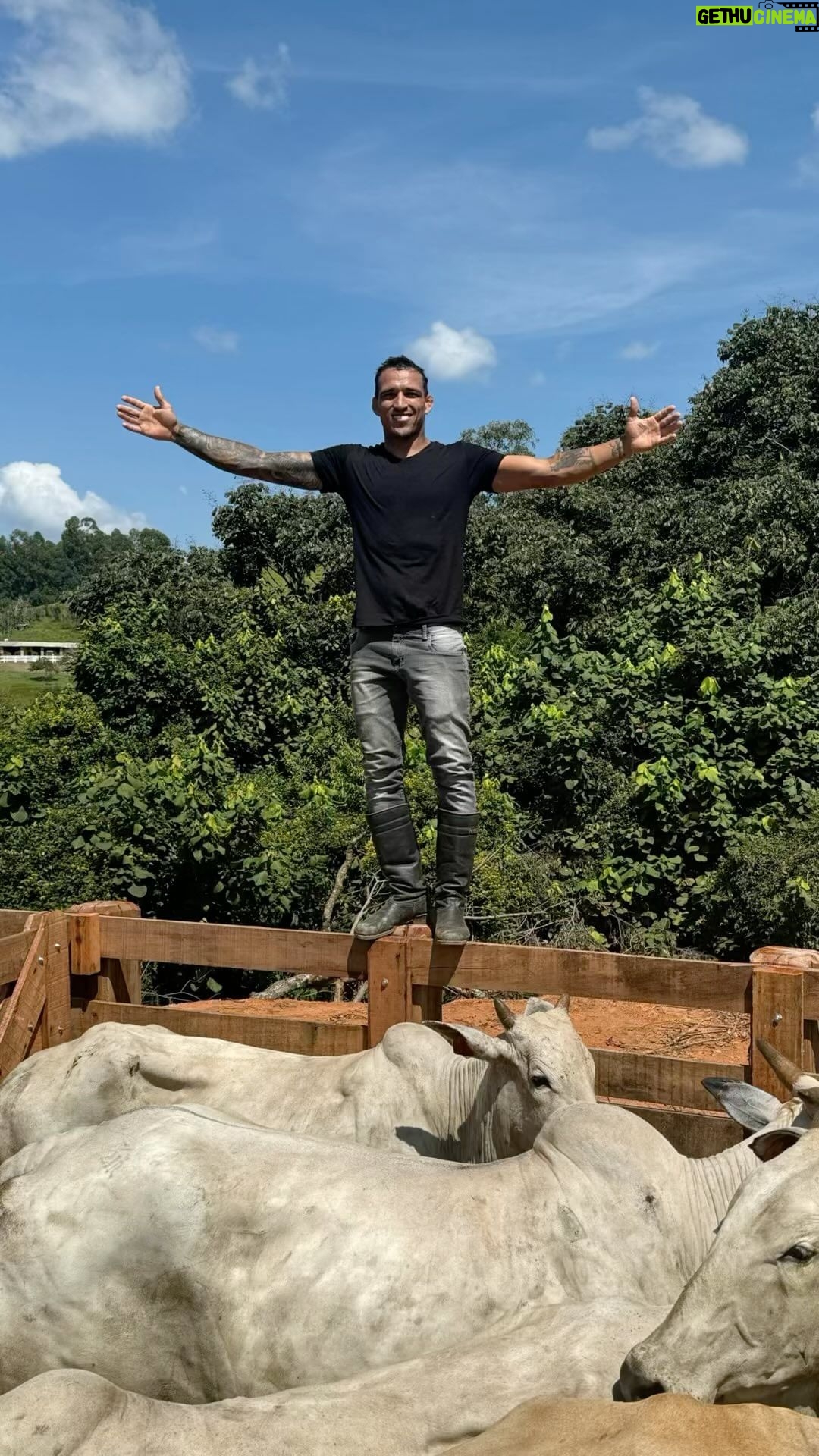 Charles Oliveira Instagram - Não é novidade para vocês essa minha paixão pela natureza, animais e principalmente pelo gado, um sonho de menino realizado e hoje foi dia de vacinar o gado, número os garrote e aí um um pouquinho do nosso domingo 🐂❤️ #fazendaoliveira @stud.oliveira