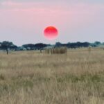 Chelsea Handler Instagram - The biggest smiles are in Africa. Singita Mara River Camp, Serengeti, Tanzania