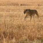 Chelsea Handler Instagram - Enjoying the beauty of the earth before climate change takes it away. Tanzania, Africa