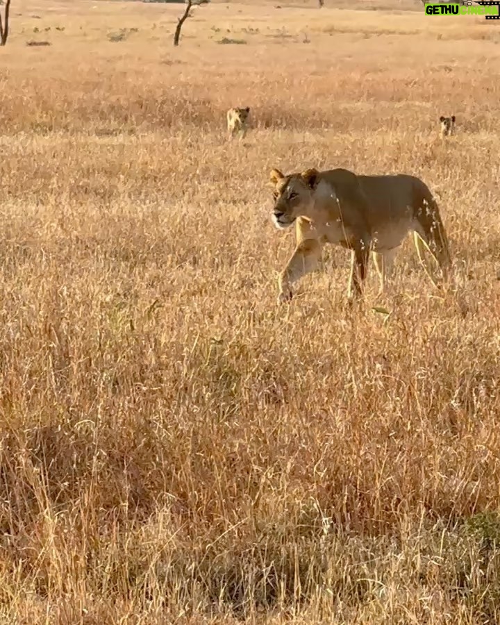 Chelsea Handler Instagram - Enjoying the beauty of the earth before climate change takes it away. Tanzania, Africa