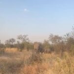Chelsea Handler Instagram - Enjoying the beauty of the earth before climate change takes it away. Tanzania, Africa