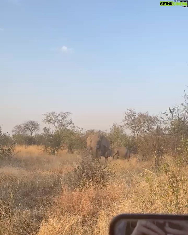 Chelsea Handler Instagram - Enjoying the beauty of the earth before climate change takes it away. Tanzania, Africa