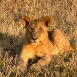 Chelsea Handler Instagram - Enjoying the beauty of the earth before climate change takes it away. Tanzania, Africa