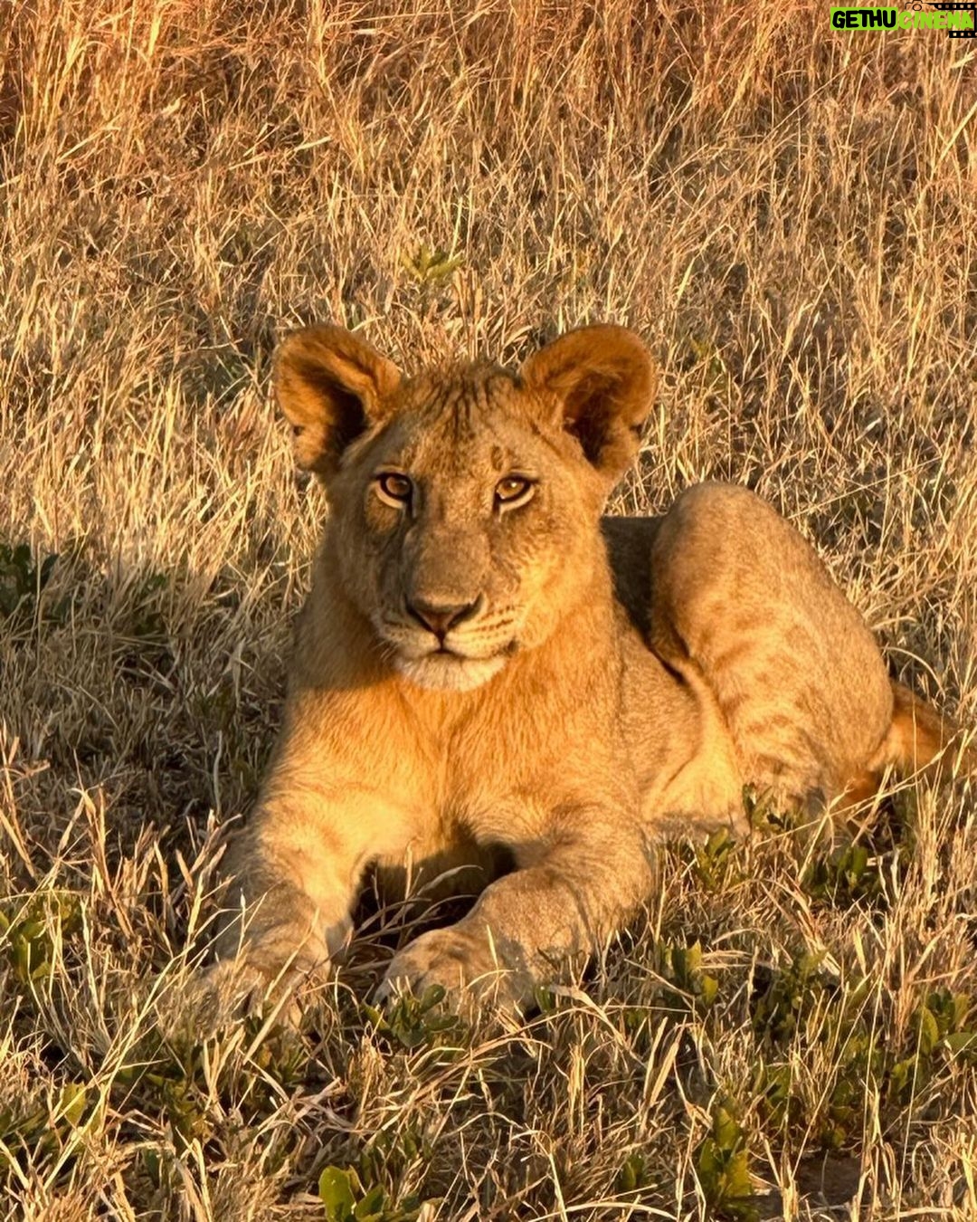 Chelsea Handler Instagram - Enjoying the beauty of the earth before climate change takes it away. Tanzania, Africa