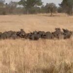 Chelsea Handler Instagram - Enjoying the beauty of the earth before climate change takes it away. Tanzania, Africa