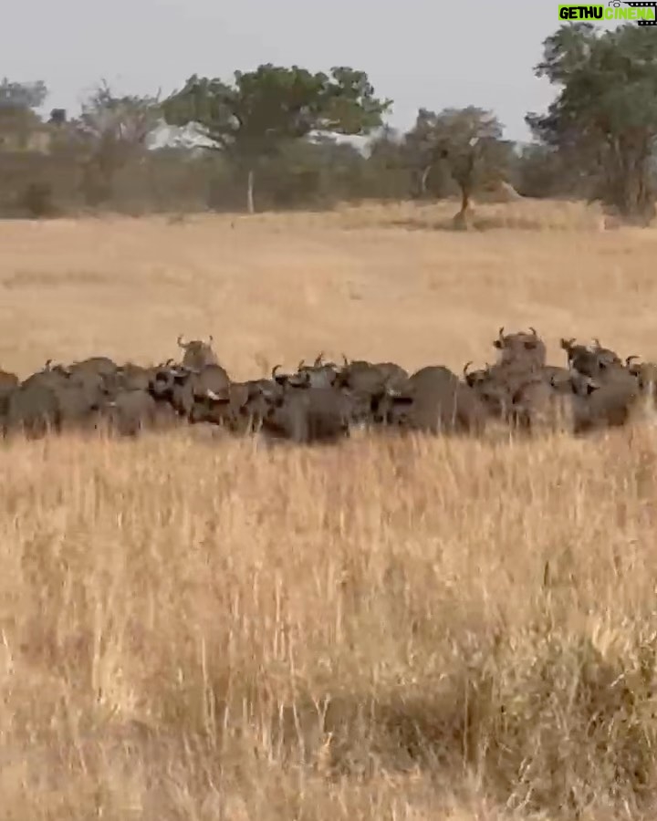 Chelsea Handler Instagram - Enjoying the beauty of the earth before climate change takes it away. Tanzania, Africa