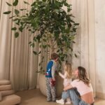 Chiara Ferragni Instagram - Vi presento Feliciona: non solo una pianta, ma un luogo della casa dove poter riflettere e ricordarci sempre delle piccole felicità quotidiane. Benvenuta in famiglia Feliciona, cresciamo insieme, sotto lo stesso cielo, nutrendoci di luce, amore e positività 🍀🍃🌿 Milan, Italy