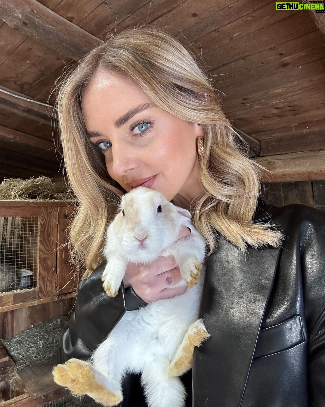 Chiara Ferragni Instagram - Weekend with my loves ✨ Ferdy Wild