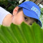 Chonlathorn Kongyingyong﻿ Instagram –