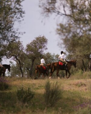 Christy Turlington Instagram - Thank you @carolinaherrera for the dreamiest of days riding through beautiful Andalucia with my daughter on horseback. I’m so grateful for the memories, some of them captured here…❤️