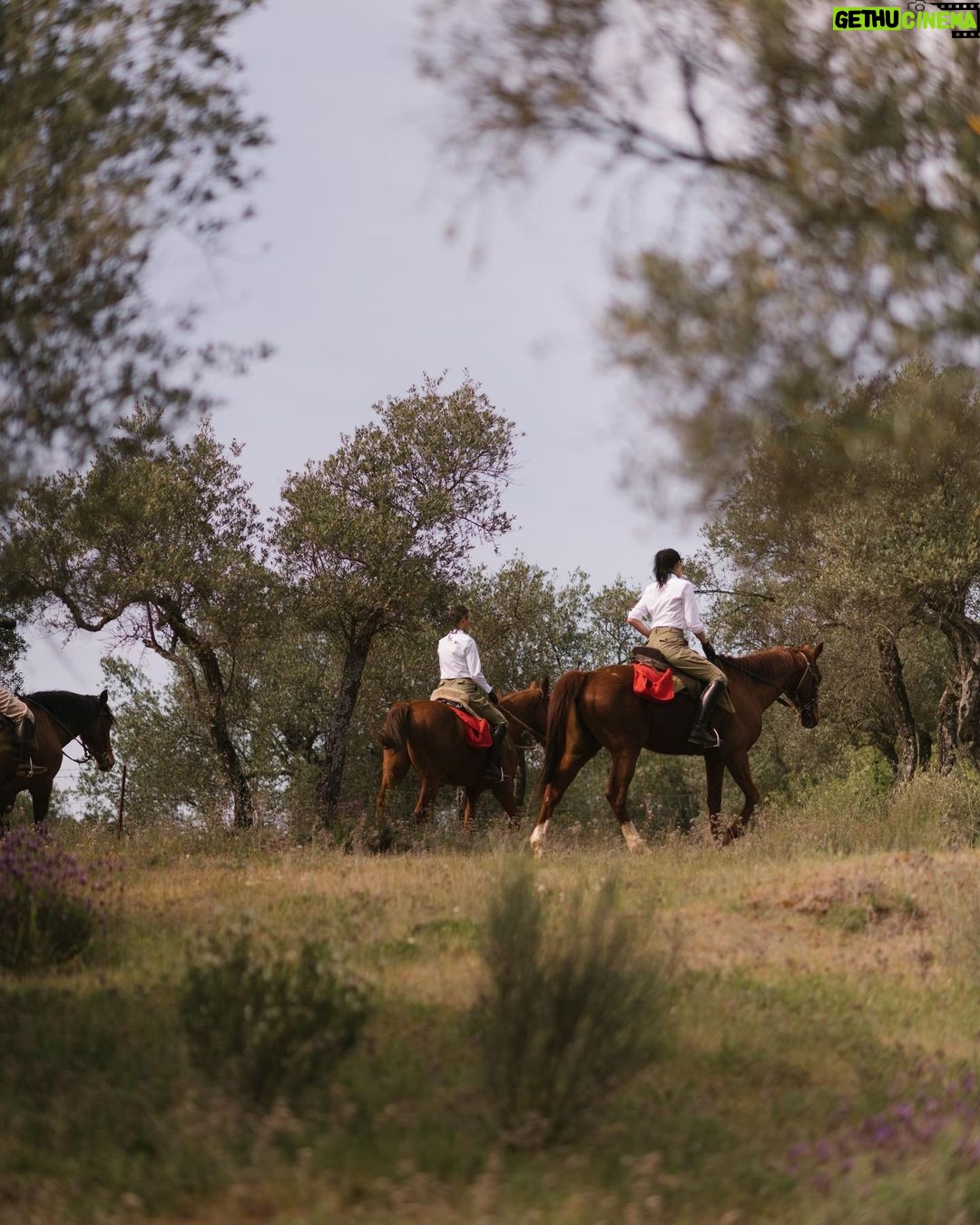 Christy Turlington - 81.9K Likes - Thank you @carolinaherrera for the dreamiest of days riding through beautiful Andalucia with my daughter on horseback. I’m so grateful for the memories, some of them captured here…❤️