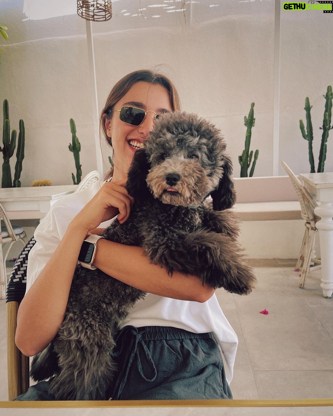 Damlasu İkizoğlu Instagram - 𝓟𝓮𝓻𝓯𝓮𝓬𝓽 𝓭𝓪𝔂𝓼 𝔀/ @lacoste 🐊♥️ Alaçatı,İzmir