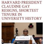 Debra Messing Instagram - 🚨BREAKING: Harvard President Gay resigns following atrocious testimony before Congress failing to condemn calls for the genocide of Jews.