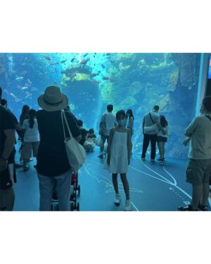 Dee Hsu Instagram - 暑假前的最後一遊：X park、 三井Outlet 、旋轉餐廳～入住六福村的動物飯店！今天就是六福村整大人的一天：排隊、曝曬、找不到位子，還好hoii 這套救了我，絕對曬不黑，但路人一直看我，我想os 是：她的衣服⋯⋯⋯？不過真的快把我累死了😨😨😨😨😨開學的日子怎麼還那麼遠😭😭😭😭😭😭😭😭😭😭😭😭😭
