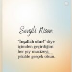 Demet Akalın Instagram -