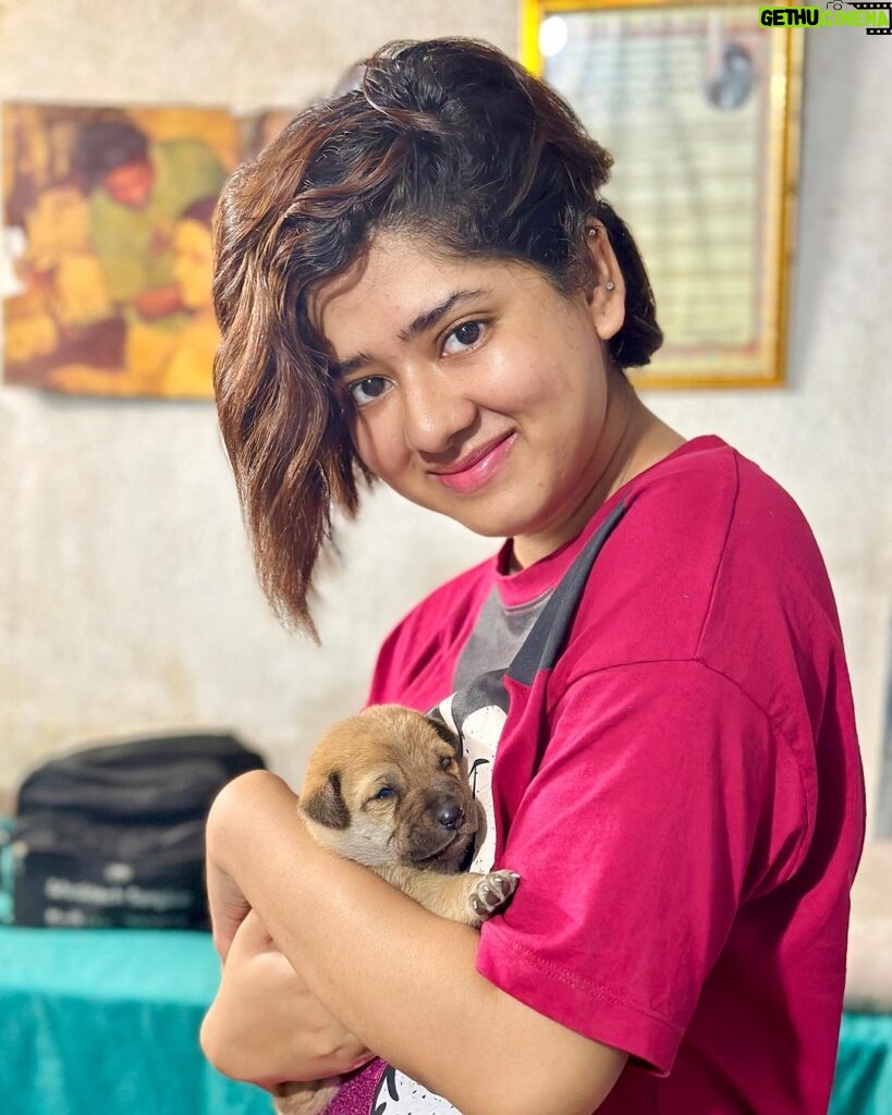 Ditipriya Roy Instagram - Nothing can fix me the way they do….. 🐶🐾🐕🐾❤️ . . . . . . . . . #pawsome #moment #precious #dogs #pet #puppylove #positivity #healing #love #unconditional #happysoul #cutenessoverload #mood #saturday #saturdayvibes #instamood #instalike #instadaily