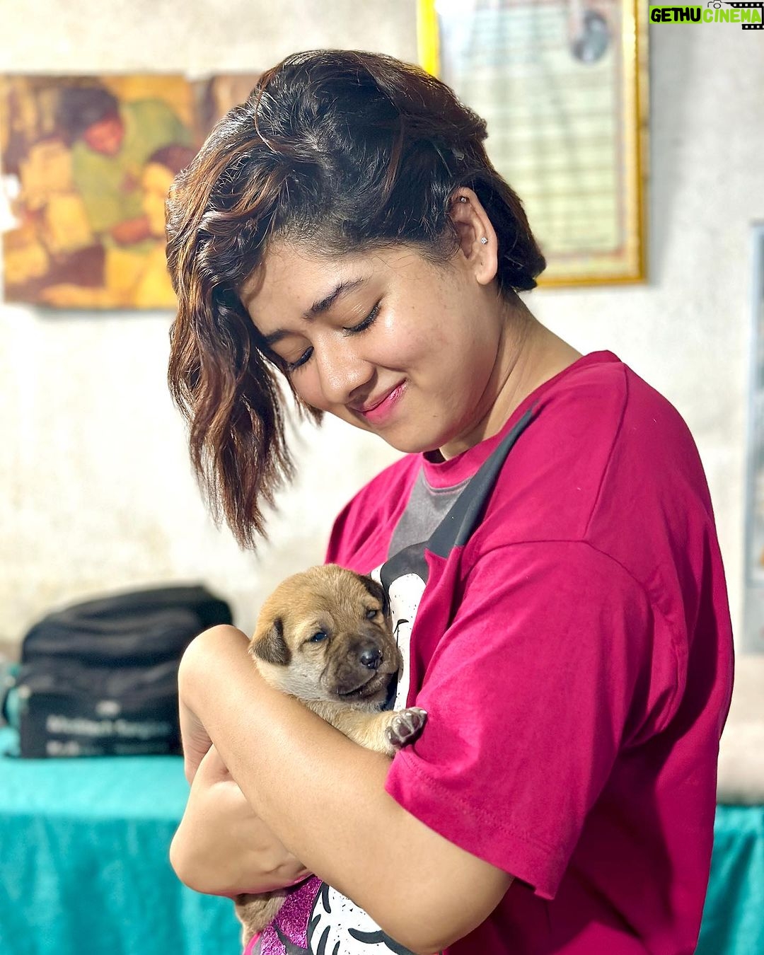 Ditipriya Roy Instagram - Nothing can fix me the way they do….. 🐶🐾🐕🐾❤️ . . . . . . . . . #pawsome #moment #precious #dogs #pet #puppylove #positivity #healing #love #unconditional #happysoul #cutenessoverload #mood #saturday #saturdayvibes #instamood #instalike #instadaily