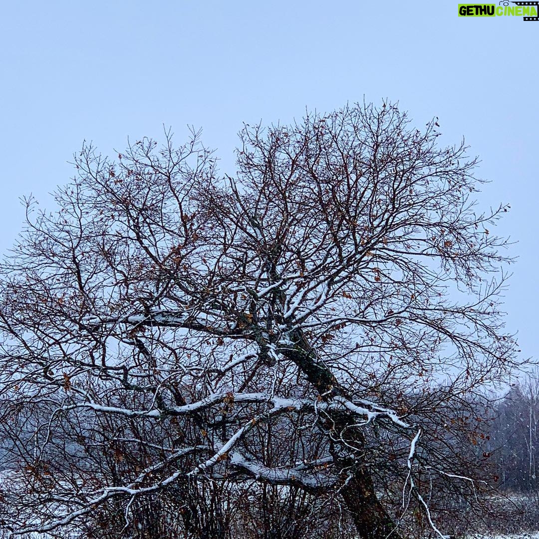 Dmitry Medvedev Instagram - Вот и первый снег ... #природа #nature #снег #snow