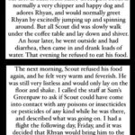 Donna D'Errico Instagram - UPDATE: Scout is recovering and is going to make it thanks to the emergency vets who treated him after his horrific experience that nearly ended his life. @samsgreenpaw has still never taken any responsibility or offered to cover any of Scout’s vet bills. They simply went silent and turned off the commenting on their IG page. #justiceforscout <<>>I took this pic of Scout in the waiting area at the emergency vet. He’d been perfectly fine until I brought him to @samsgreenpaw in Studio City to get groomed. After that things got very bad very fast. At first I thought maybe he’d been exposed to some kind of poison at Sam’s Greenpaw. But then the emergency vet who looked him over told me something that brought me to tears. @samsgreenpaw is refusing to take any responsibility for what was done to Scout and the suffering he went through that nearly killed him. Swipe through to read the entire story #justiceforscout @peta @aspca @spcala