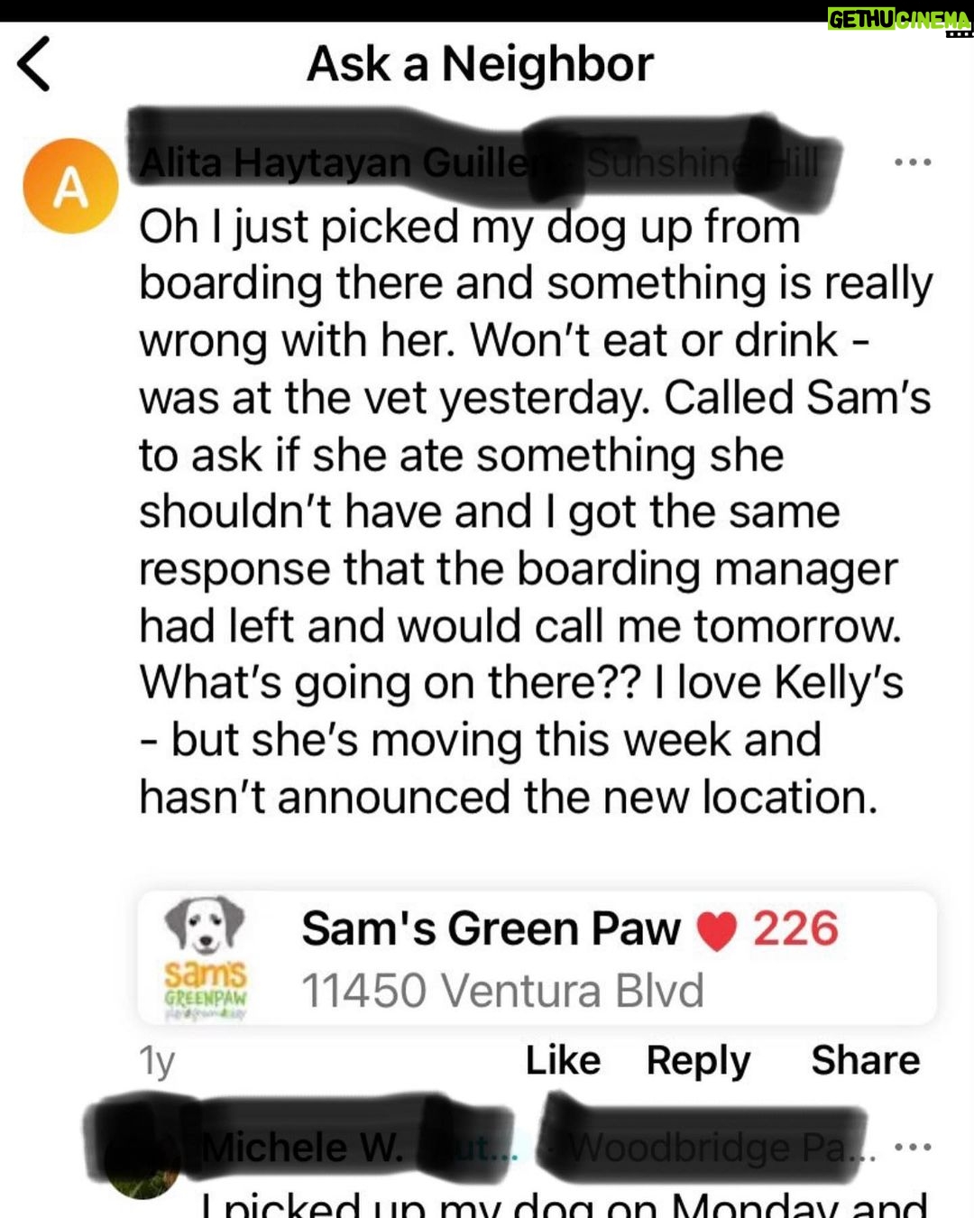 Donna D'Errico Instagram - UPDATE: Scout is recovering and is going to make it thanks to the emergency vets who treated him after his horrific experience that nearly ended his life. @samsgreenpaw has still never taken any responsibility or offered to cover any of Scout’s vet bills. They simply went silent and turned off the commenting on their IG page. #justiceforscout <<>>I took this pic of Scout in the waiting area at the emergency vet. He’d been perfectly fine until I brought him to @samsgreenpaw in Studio City to get groomed. After that things got very bad very fast. At first I thought maybe he’d been exposed to some kind of poison at Sam’s Greenpaw. But then the emergency vet who looked him over told me something that brought me to tears. @samsgreenpaw is refusing to take any responsibility for what was done to Scout and the suffering he went through that nearly killed him. Swipe through to read the entire story #justiceforscout @peta @aspca @spcala