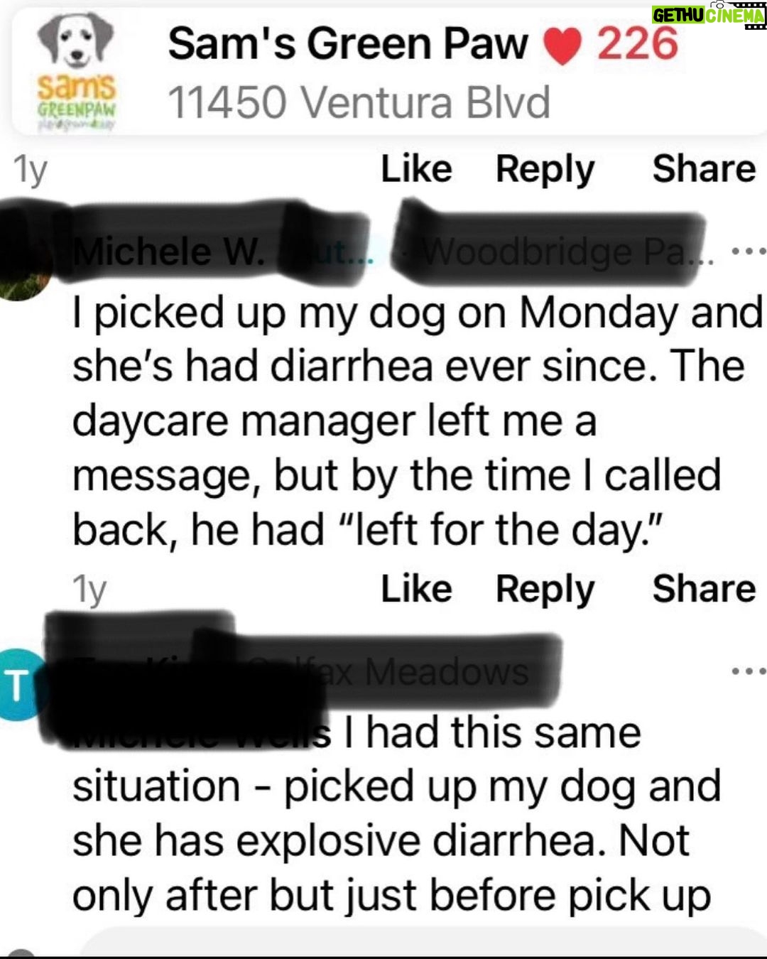 Donna D'Errico Instagram - UPDATE: Scout is recovering and is going to make it thanks to the emergency vets who treated him after his horrific experience that nearly ended his life. @samsgreenpaw has still never taken any responsibility or offered to cover any of Scout’s vet bills. They simply went silent and turned off the commenting on their IG page. #justiceforscout <<>>I took this pic of Scout in the waiting area at the emergency vet. He’d been perfectly fine until I brought him to @samsgreenpaw in Studio City to get groomed. After that things got very bad very fast. At first I thought maybe he’d been exposed to some kind of poison at Sam’s Greenpaw. But then the emergency vet who looked him over told me something that brought me to tears. @samsgreenpaw is refusing to take any responsibility for what was done to Scout and the suffering he went through that nearly killed him. Swipe through to read the entire story #justiceforscout @peta @aspca @spcala