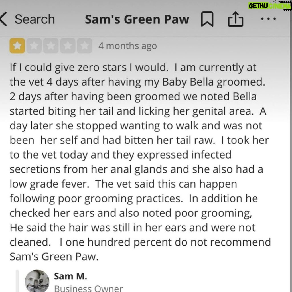 Donna D'Errico Instagram - I just heard from the owner of @samsgreenpaw asking me to remove my post about the traumatic experience Scout had. At first he sounded compassionate His wording in the email made it sound like if I truly believed it was their fault then they would without question do right by Scout. But in the meantime he asked me to remove my post. I noticed that he did not offer to cover Scout’s vet bills. I responded and told him I would not remove my post until they did right by Scout. I also told him that I had sent Scout’s vet bills to his manager and tried to get them to do the right thing. I told him that I even had told his manager that I intended to post about Scout’s experience to warn others, and he didn’t seem to care. Seeing that I wasn’t going to take my post down until @samsgreenpaw does right by Scout, all his emails after that had a totally different tone. He didn’t sound compassionate or caring anymore. In the first email he had said if I truly believed it was their fault then they would without question do right by Scout. That quickly changed into something more like that Scout had a preexisting condition so it would have happened anywhere (Scout did not have a preexisting condition). I’m also getting emails from him now saying he’s spoken to vets and that he plans to post things in his defense. I can’t wait to see what in the hell that could be. And the last email I just got from him was accusing me of this just being about the money. Honey please. I found some reviews online. It appears Scout wasn’t the first victim. I included one in this post. Oh and the owner of Sam’s Greenpaw tried to warn me about slander. After I got done educating him on the difference between slander and libel, I basically said next. You have to state untrue shit to have a case. I’m not stupid. A true animal advocate wouldn’t be concerned with defending himself or talking to vets to get excuses or finding ways to get out of covering vet bills when a dog gets injured while in your care, or accusing someone of it just being about the money when they demand justice. A true animal advocate and standup person would have done the right thing immediately. #justiceforscout Los Angeles, California
