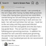 Donna D'Errico Instagram - I just heard from the owner of @samsgreenpaw asking me to remove my post about the traumatic experience Scout had. At first he sounded compassionate His wording in the email made it sound like if I truly believed it was their fault then they would without question do right by Scout. But in the meantime he asked me to remove my post. I noticed that he did not offer to cover Scout’s vet bills. I responded and told him I would not remove my post until they did right by Scout. I also told him that I had sent Scout’s vet bills to his manager and tried to get them to do the right thing. I told him that I even had told his manager that I intended to post about Scout’s experience to warn others, and he didn’t seem to care. Seeing that I wasn’t going to take my post down until @samsgreenpaw does right by Scout, all his emails after that had a totally different tone. He didn’t sound compassionate or caring anymore. In the first email he had said if I truly believed it was their fault then they would without question do right by Scout. That quickly changed into something more like that Scout had a preexisting condition so it would have happened anywhere (Scout did not have a preexisting condition). I’m also getting emails from him now saying he’s spoken to vets and that he plans to post things in his defense. I can’t wait to see what in the hell that could be. And the last email I just got from him was accusing me of this just being about the money. Honey please. I found some reviews online. It appears Scout wasn’t the first victim. I included one in this post. Oh and the owner of Sam’s Greenpaw tried to warn me about slander. After I got done educating him on the difference between slander and libel, I basically said next. You have to state untrue shit to have a case. I’m not stupid. A true animal advocate wouldn’t be concerned with defending himself or talking to vets to get excuses or finding ways to get out of covering vet bills when a dog gets injured while in your care, or accusing someone of it just being about the money when they demand justice. A true animal advocate and standup person would have done the right thing immediately. #justiceforscout Los Angeles, California